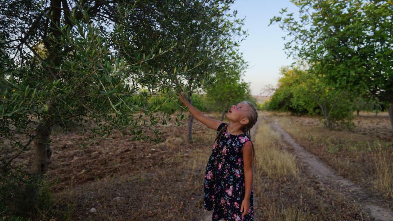 Agriturismo Gaia Villa Noto Bagian luar foto