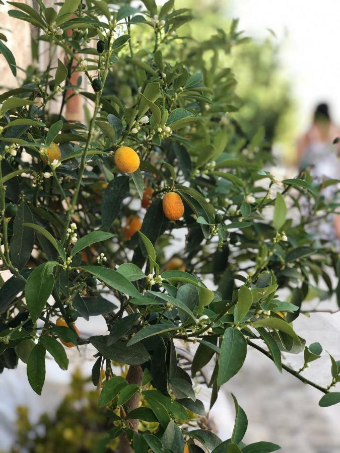 Agriturismo Gaia Villa Noto Bagian luar foto