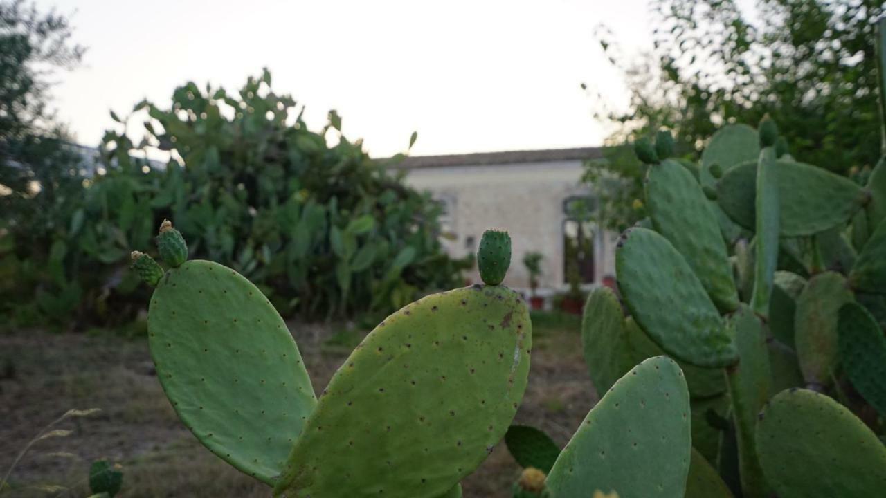Agriturismo Gaia Villa Noto Bagian luar foto